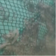 高壓清洗機,進口高壓清洗機,高壓清洗機價格,超高壓清洗機