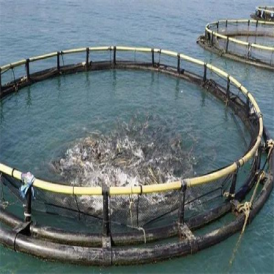 應(yīng)對(duì)夏季海生物生長迅速的海洋平臺(tái)養(yǎng)殖網(wǎng)箱清洗